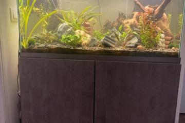 Aquarium ciano 200