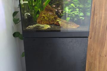 Aquarium Oase