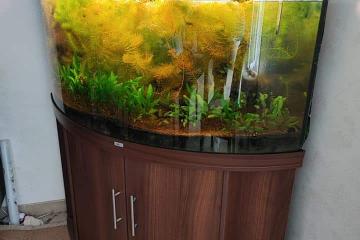 Juxel trigon 350 equipé avec meuble