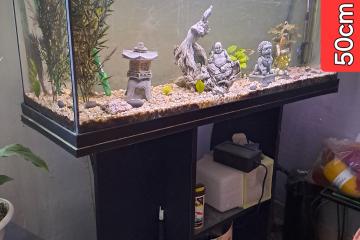 Vends aquarium 100l