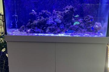 aquarium marin red sea max 500 complet