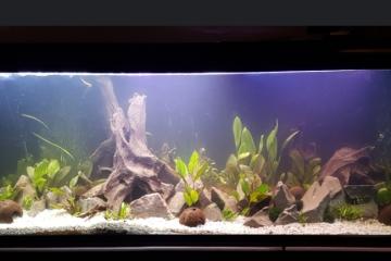 Aquarium en verre 600L avec son meuble