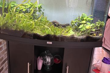 Aquarium JUWEL Visio 180