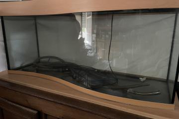 Aquarium Vague