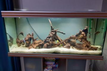 Aquarium