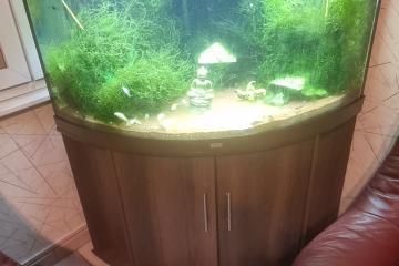 Aquarium 350l