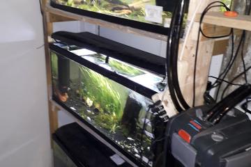 Aquariums