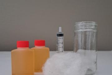 Kit pour élevage d'anguillules de vinaigre