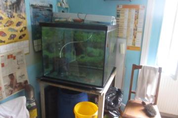 Aquarium avec Support en Acier