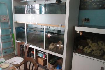 Galerie avec 6 aquariums