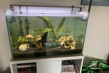 Aquarium et meuble sous garantie