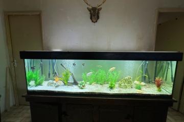 Aquarium 600 litre complet