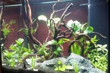 Aquarium JUWEL Lido 120 Noir tout équipé