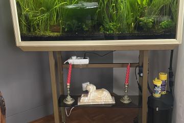 Aquarium 200 L