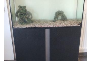 Aquarium 250l