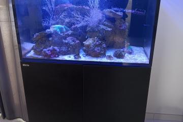 Aquarium Red sea 250l dernière génération
