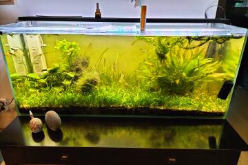 Aquarium 240L Complet