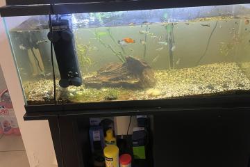 Aquarium à vendre