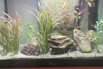Aquarium