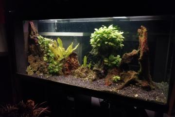 Aquarium 500l complet