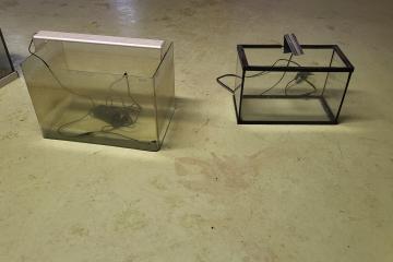 AQUARIUM