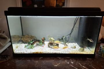 Aquarium 60 litres
