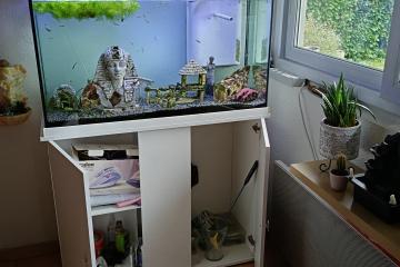 Aquarium