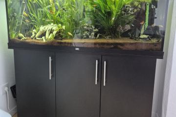 Tout pour aquarium