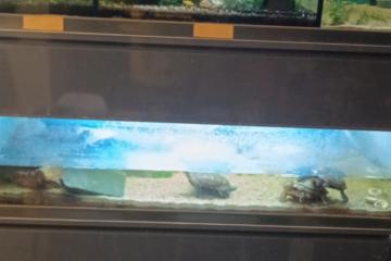 Batterie aquarium 480l