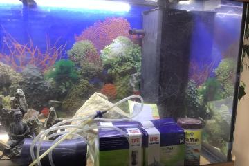 Aquarium Meuble juwel 180l