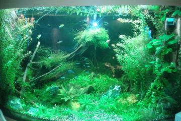 Aquarium Juwel Trigon 350