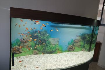 Aquarium Juwel Visio 260