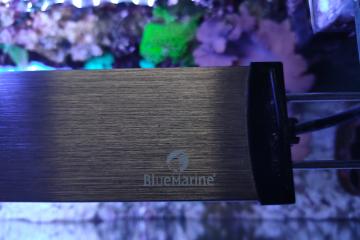 3 rampes led blue marine