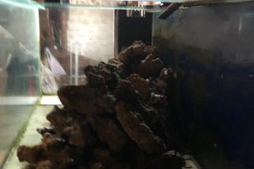 aquarium 800 litres