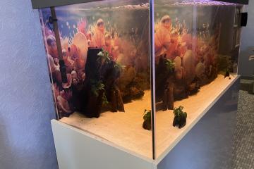 aquarium 468l