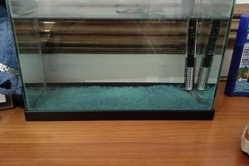 Petit aquarium avec chauffage
