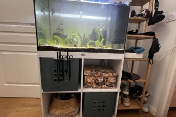 Aquarium 80L