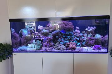 Reefer 525 complet