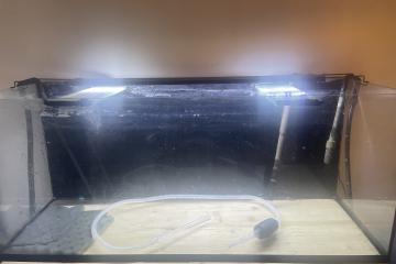 Aquarium 240  l