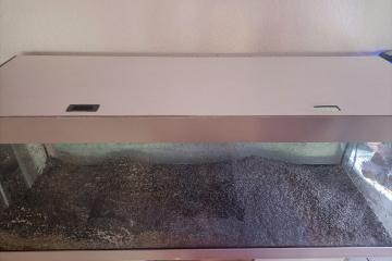 Aquarium 500l