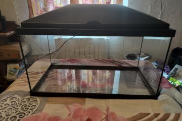 A donner : aquarium pour poissons