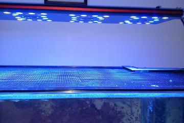 Rampe led