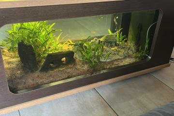 Table aquarium 8