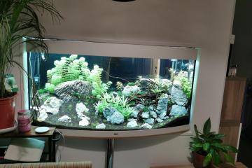 Aquarium juwel vision 260l + meuble