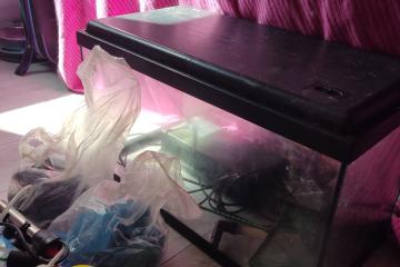 Aquarium 60L + Accessoires