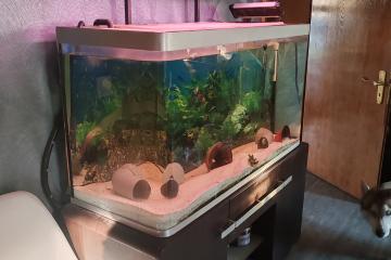 Aquarium 300l