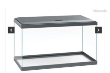 aquarium