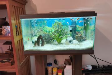 Aquarium 48 L