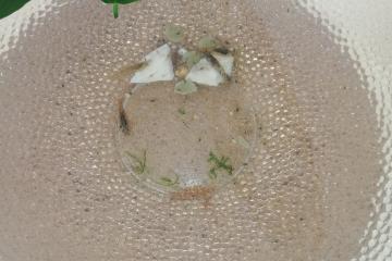 Crevettes neocaridina grises