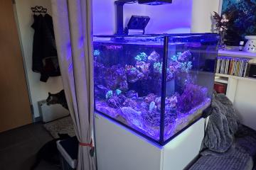 Aquarium marin reefer G2+ toutes options